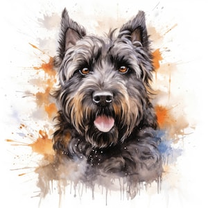 Aquarelle Bouvier des Flandres | 10 fichiers JPG de haute qualité | Scrapbooking, fabrication de cartes, création numérique en papier | Utilisation commerciale | Téléchargement numérique