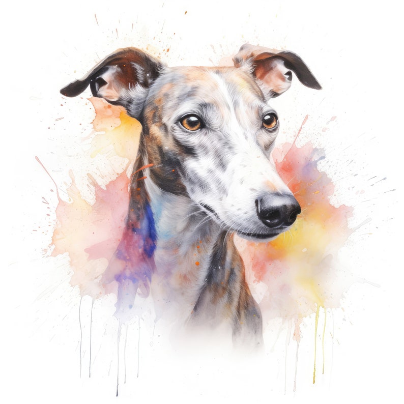 Puede incluir: Una pintura de acuarela de un galgo con manchas marrones y blancas. El perro est&aacute; mirando hacia la derecha y tiene una expresi&oacute;n seria. El fondo es una acuarela de rosa, naranja, amarillo y azul.