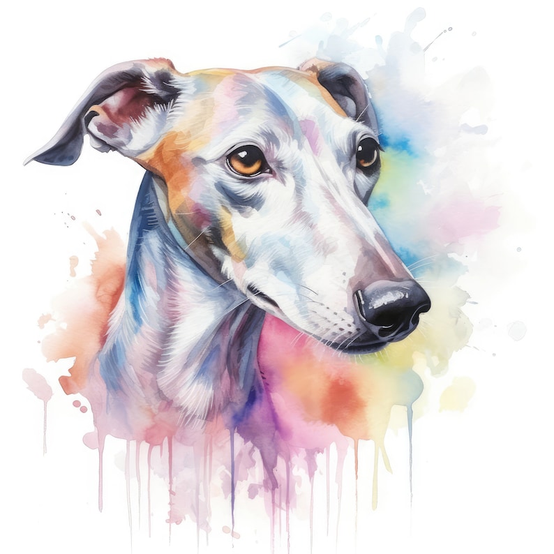Puede incluir: Pintura acuarela de un perro galgo blanco y marr&oacute;n con un fondo colorido. La cabeza del perro est&aacute; girada hacia un lado y sus ojos est&aacute;n cerrados. El fondo es una mezcla de rosa, azul y amarillo.