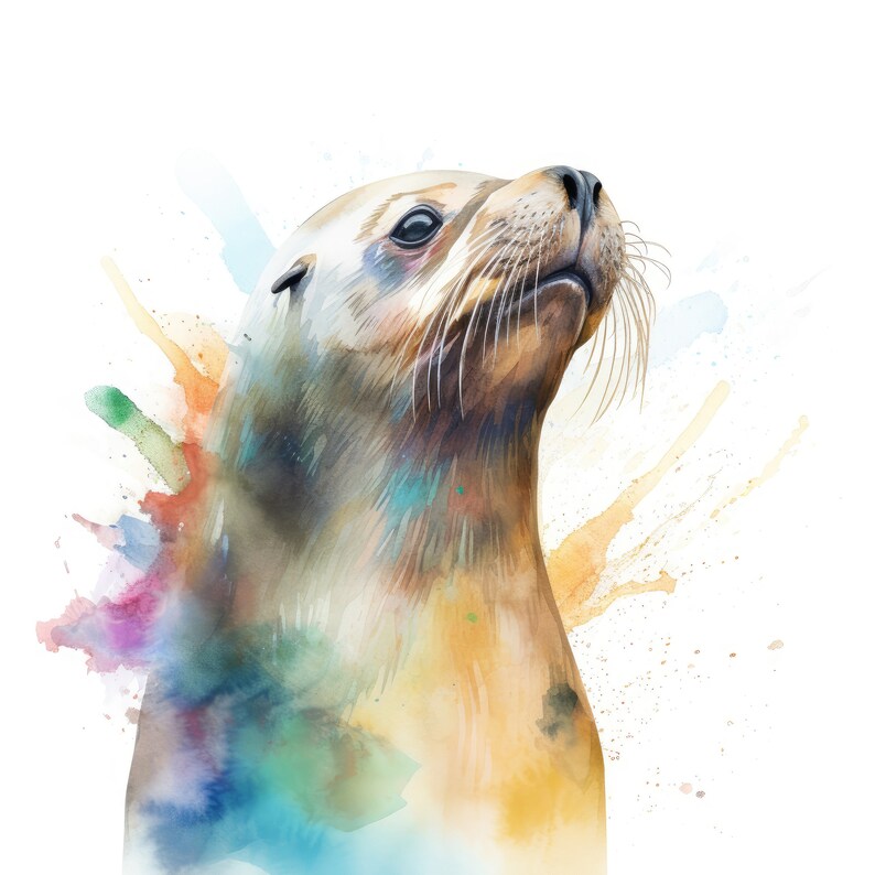 May include: A watercolour painting of a sea lion, depicted with a light brown coat and long whiskers, gazing upwards. The artwork incorporates colourful watercolour splashes in shades of blue, orange, yellow, and purple, set against a white background.