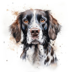 Munsterländer Pointer Clipart | 10 hochwertige JPG | Scrapbooking, Kartengestaltung, Digital Paper Craft | Kommerzielle Nutzung | Digitaler Download