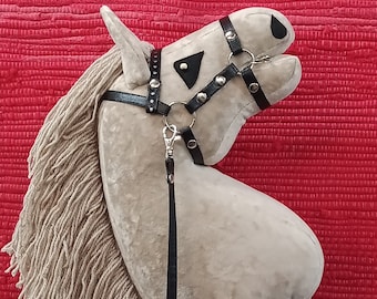 Hobby Horse, Akhal Teke Gold, Cheval sur bâton (A4)