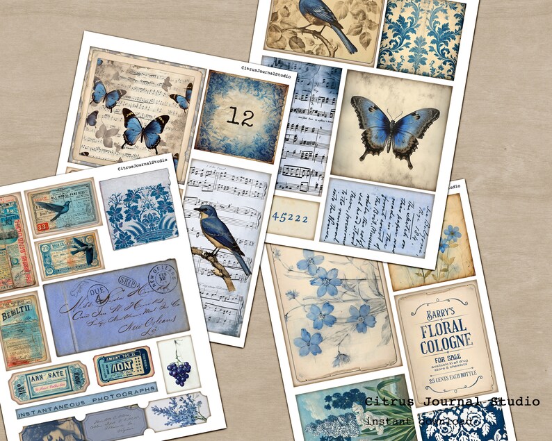 May include: A digital collage sheet with blue and white images, including butterflies, birds, flowers, musical notes, and vintage labels. The sheet is designed for scrapbooking, journaling, and other paper crafts.