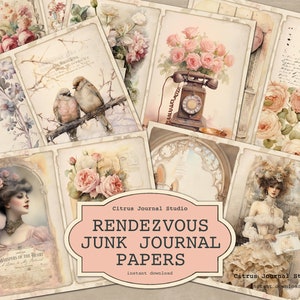 Valentinstag Junk Journal, Liebesvögel, Shabby Chic Journal, Digitales Journal, Vintage Junk Journal, Liebesbrief, Digital Kit, Rosa Rosen