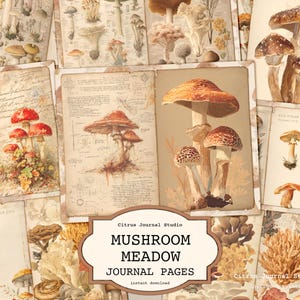 May include: A collage of vintage journal pages with mushroom illustrations. The pages feature detailed drawings in brown, red, and beige, with some pages showing handwritten text. The title "Mushroom Meadow Journal Pages" is displayed on a decorative label.