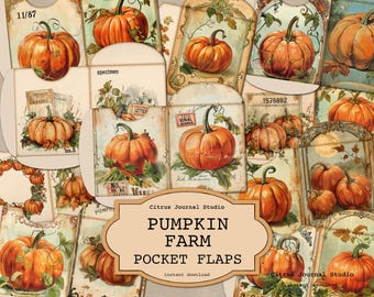 May include: A collage of vintage-style pocket flaps featuring illustrations of pumpkins. The flaps are in various shapes and sizes, with aged paper textures and botanical accents. The text "PUMPKIN FARM POCKET FLAPS" is displayed on a central label.