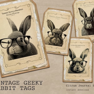 Vintage Kaninchen, Oster Tags, Geek Hase, Süßes Häschen, Journal Tags, Vintage Tags, Junk Journal Kit, Ephemera, Digitales Kit, French Rabbit Tag