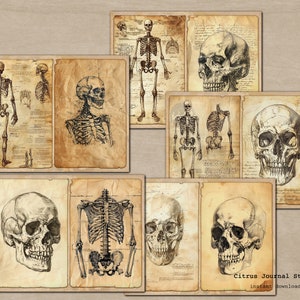 May include: A set of 10 vintage style printable images featuring anatomical illustrations of human skeletons and skulls. The images are in black and white and have a distressed, aged paper texture. The images are perfect for scrapbooking, card making, and other craft projects.