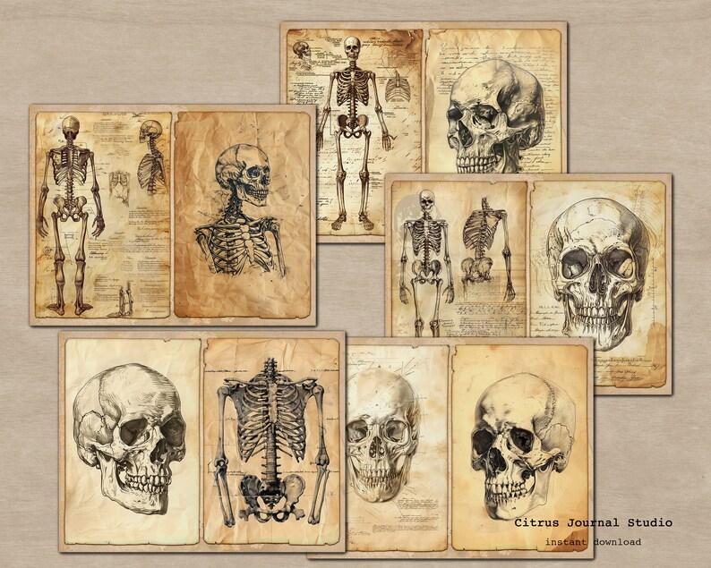 May include: A set of 10 vintage style printable images featuring anatomical illustrations of human skeletons and skulls. The images are in black and white and have a distressed, aged paper texture. The images are perfect for scrapbooking, card making, and other craft projects.