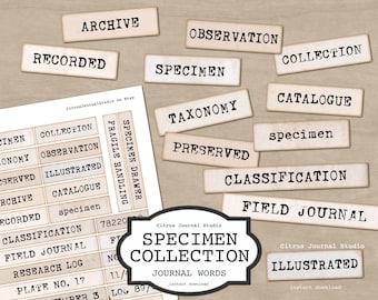 Entomology Junk Journal Words, Specimen Phrases, Neutral Embellishments