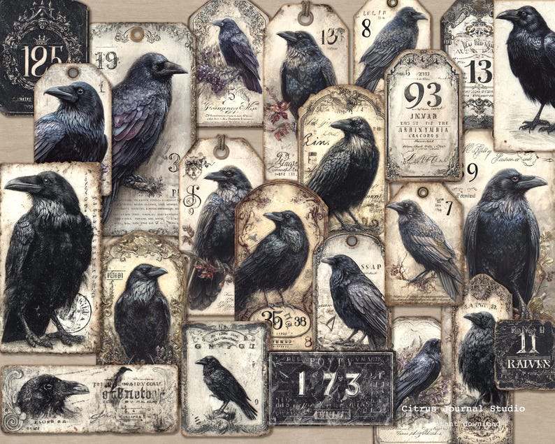 May include: A collection of vintage tags with illustrations of black crows. The tags have aged paper textures, numbers, and decorative elements. The crows are depicted in various poses, creating a gothic and artistic aesthetic.