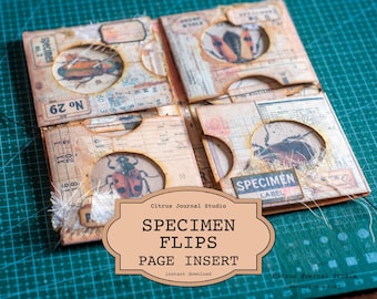 Entomology Journal Page Insert, Specimen Labels, Entomology Pocket, Pocket Flaps, Vintage Labels, Insects Tags, Junk Journaling, Field Notes