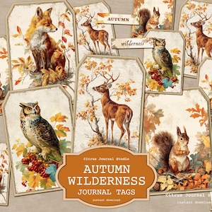 Puede incluir: Un conjunto de etiquetas de diario con temas de naturaleza otoñal. Las etiquetas presentan ilustraciones de zorros, ciervos, búhos y ardillas en medio del follaje otoñal. Con las palabras "Autumn Wilderness Journal Tags".
