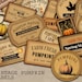 Fall Envelopes, Fall Vibes, Autumn Envelopes, Junk Journal Envelope ...
