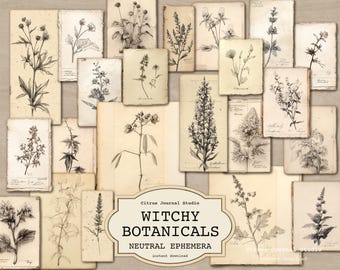 May include: A selection of vintage botanical illustrations on aged paper. The drawings are in monochrome, depicting various plants and flowers. The text "Witchy Botanicals Neutral Ephemera" is displayed on a cream-coloured label.