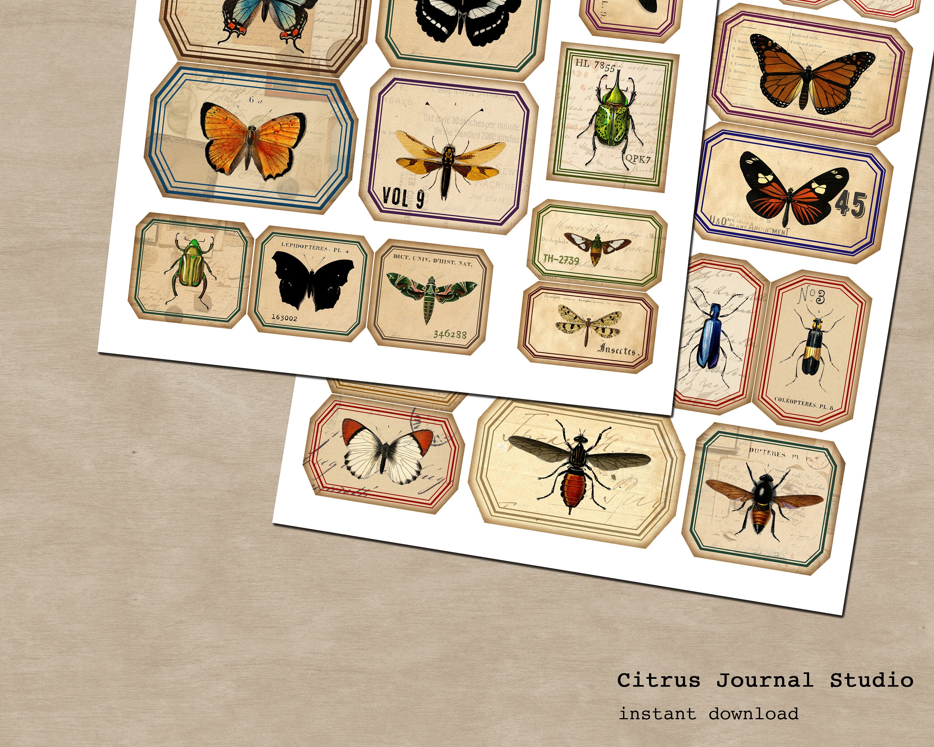 Entomology Labels, Insects Tags, Vintage Labels, Junk Journal Kit ...
