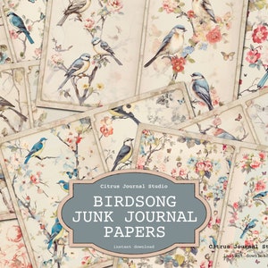 Vintage vogels, Floral Junk Journal, vogelgezang, Vintage Junk Journal, tortelduifjes, Shabby Chic Journal, Digital Journal, Digital Kit, Romantic