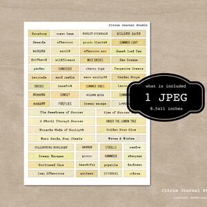 May include: A digital download from Citrus Journal Studio featuring a sheet of journal labels with summer-themed words like "Sunshine" and "Wild Daisies." The image includes a black label that says "what is included 1 JPEG 8.5x11 inches."
