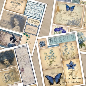 May include: A digital collage sheet with vintage images and text. The sheet features blue and white floral designs, butterflies, and text that reads "Wild Rose Extract", "Carte Postale", "Apothecary", "Vanilla", "French Corset", "Extracts", "New York City", and "Citrus Journal Studio".