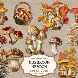 Mushroom Fussy Cuts, Vintage Autumn Botanical Ephemera, Forest Nature Sticker, Mushroom Stamps, Fall  Scrapbooking, Cottagecore Junk Journal