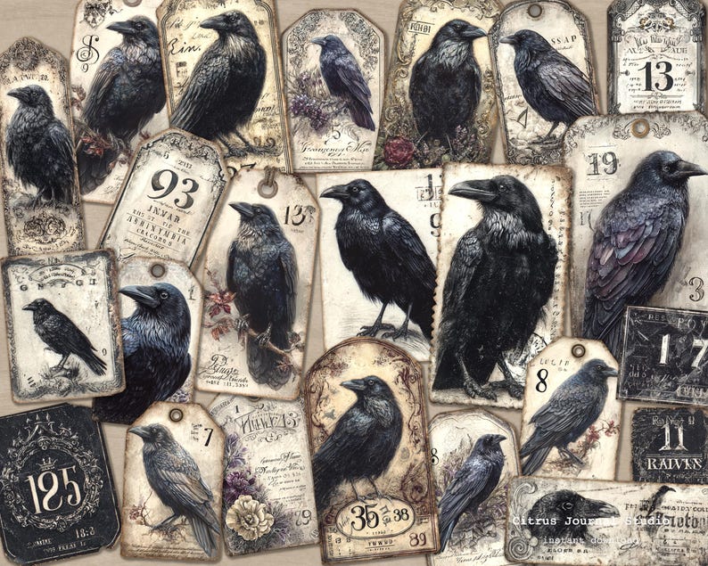 May include: A collection of aged tags with illustrations of black crows. The tags have a distressed appearance, with numbers and botanical details. The crows are shown in different poses, creating a gothic or Halloween theme.