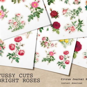 Fussy Cut Roses, Junk Journal Kit, Vintage Ephemera, Fussy Cut Flowers, Roses, Shabby Chic, Flowers, Embellishments, Shabby Roses, Ephemera
