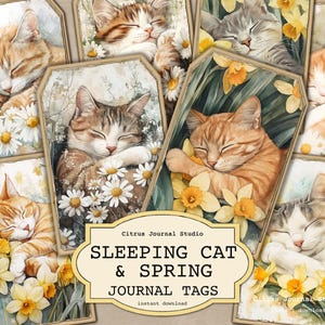 Étiquettes de chat mignon, étiquettes de printemps, étiquettes de journal indésirable Daisy, étiquettes de chat endormi, étiquettes de journal jonquilles, étiquettes de journal indésirable de printemps, étiquettes imprimables