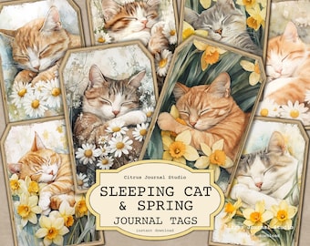 Cute Cat Tags, Spring Tags, Daisy Junk Journal Tags, Sleeping Cat Tags, Daffodils Journal Tags, Spring Junk Journal Tags, Printable Tags