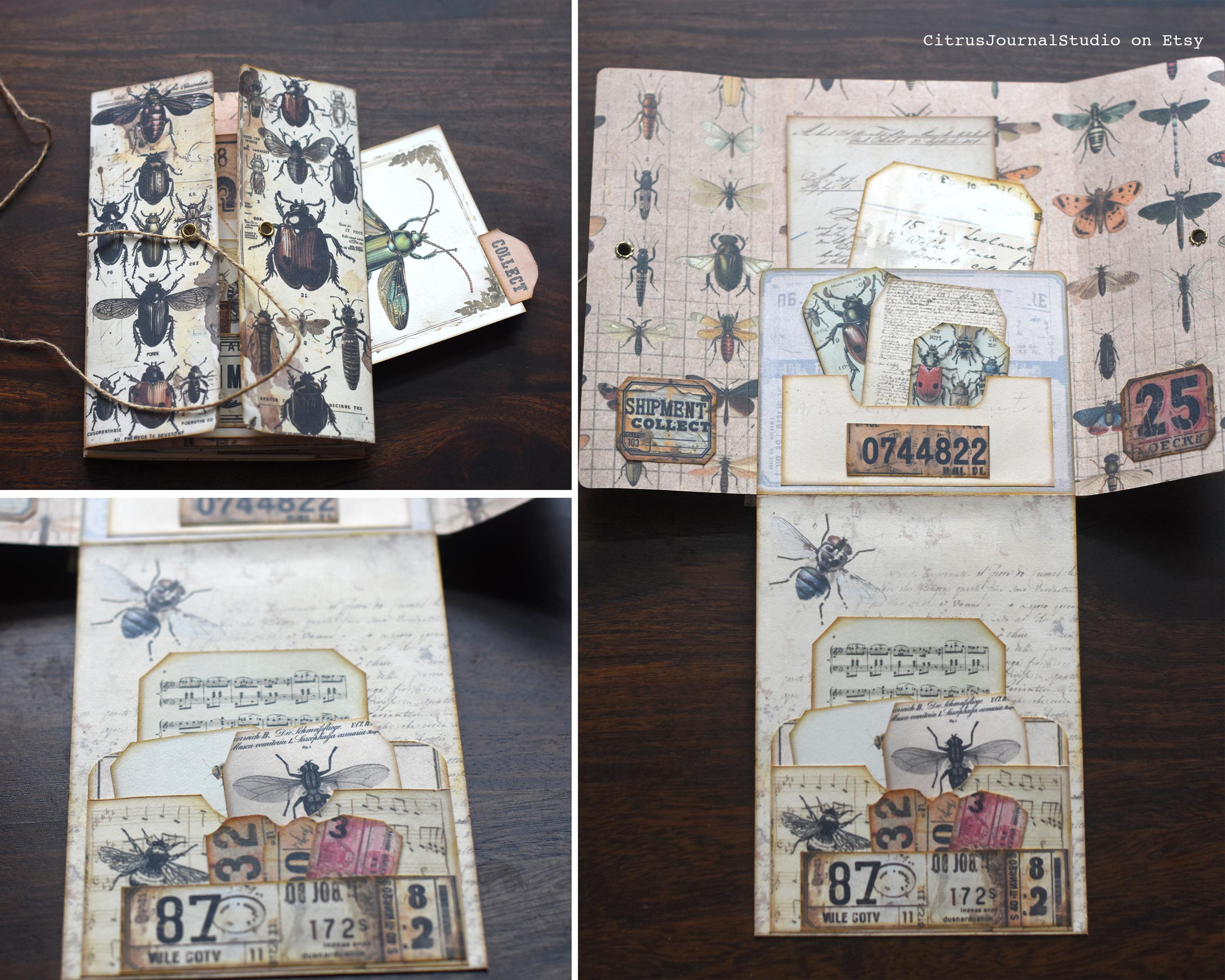 Entomology Junk Journal, Butterfly Tags, Specimen Labels, Number Labels ...