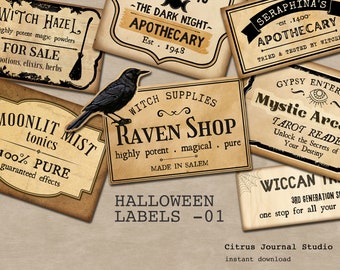 Etichette di Halloween, effimere spettrali vintage, tagli elaborati di pozioni e corvi, diario di scarto stampabile, etichette per farmacisti, kit digitale estetico dei tarocchi