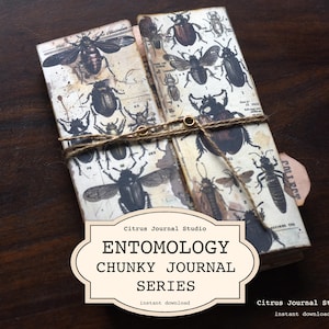 Diario di entomologia, etichette per farfalle, etichette per campioni, etichette numerate, etichette tascabili cariche, etichette per diario, effimeri di insetti, foglio a tre ante