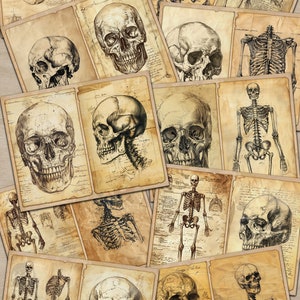 May include: A collage of vintage anatomical illustrations featuring human skulls and skeletons. The images are printed on aged paper with a distressed look. The images are perfect for scrapbooking, card making, or other craft projects.