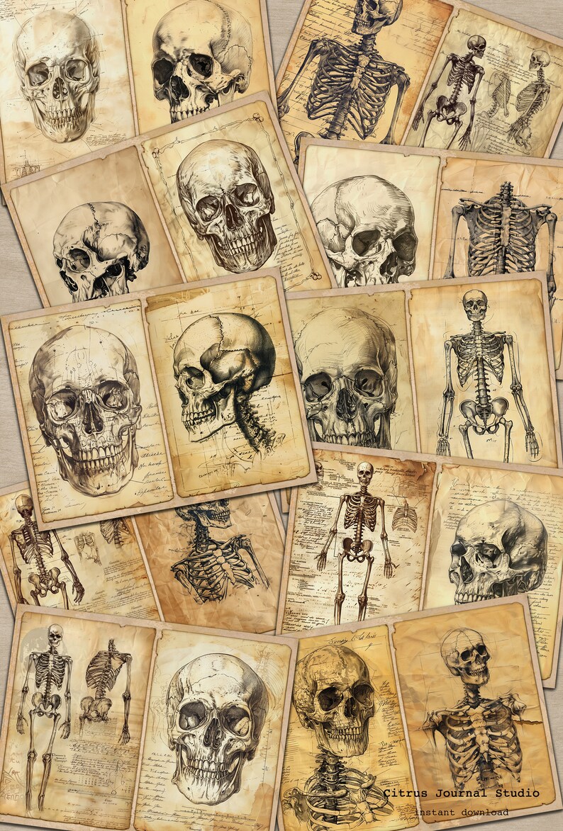 May include: A collage of vintage anatomical illustrations featuring human skulls and skeletons. The images are printed on aged paper with a distressed look. The images are perfect for scrapbooking, card making, or other craft projects.