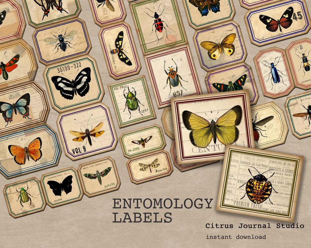 Entomology Labels, Insects Tags, Vintage Labels, Junk Journal Kit
