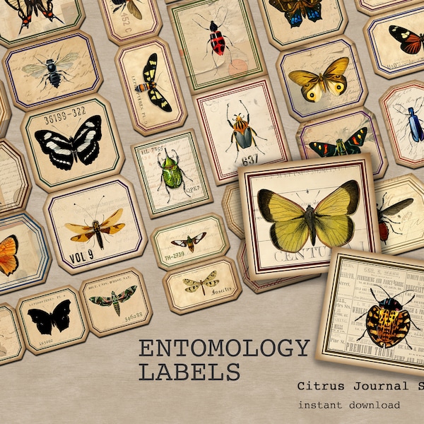 Entomology Labels, Insects Tags, Vintage Labels, Junk Journal Kit, Printable Ephemera, Butterfly Labels, Digital Tags, Bugs Digital Ephemera