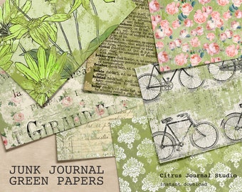 Dziennik śmieciowy Shabby Green, arkusz kolażu, papier dekoracyjny, dziennik śmieciowy, zestaw do scrapbookingu, zestaw dziennika śmieciowego, cyfrowy dziennik śmieciowy, Shabby Rose