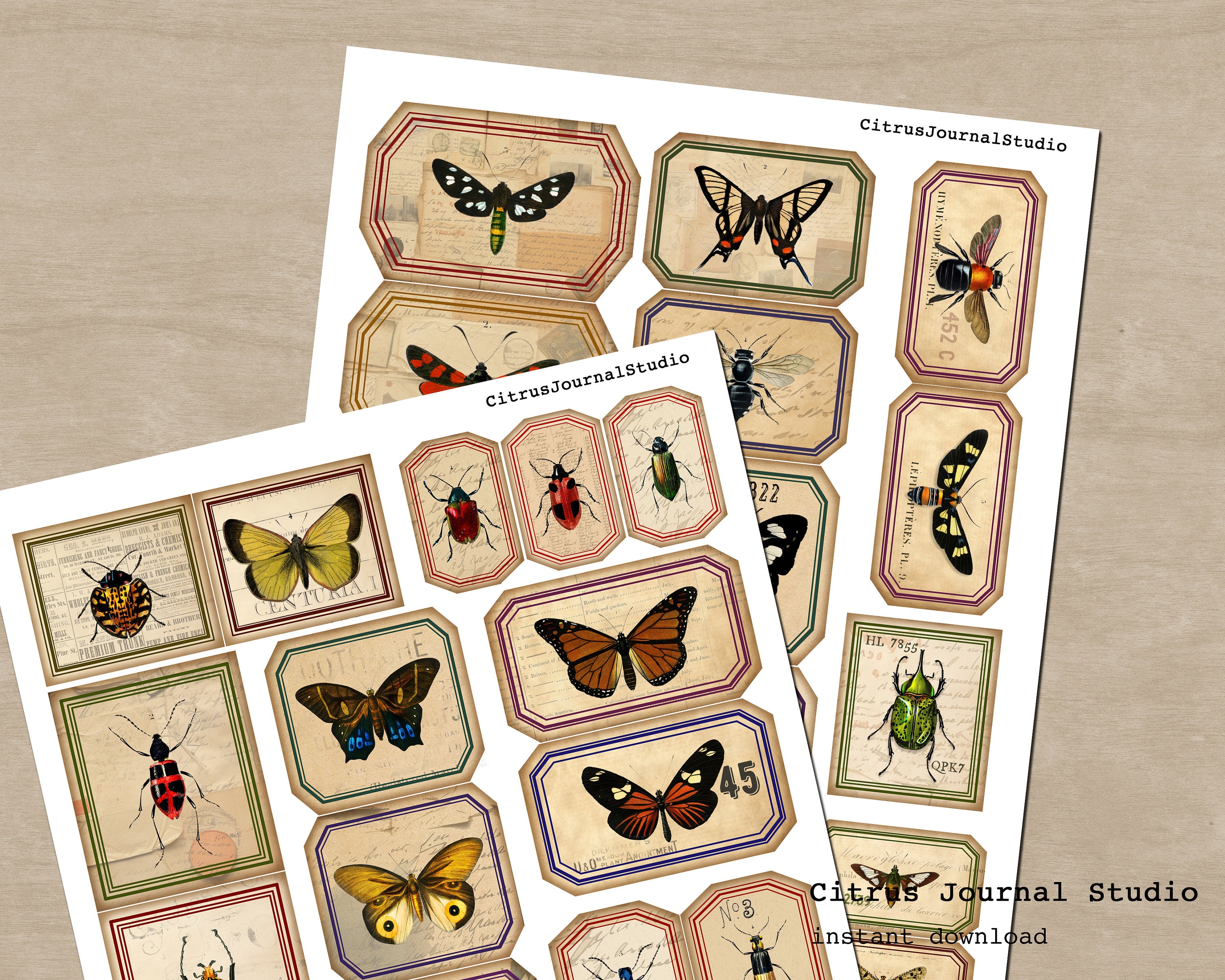 Entomology Labels, Insects Tags, Vintage Labels, Junk Journal Kit ...