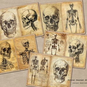 May include: A digital collage of vintage anatomical illustrations featuring human skulls and skeletons. The images are in black and white and have a distressed, aged look. The text "Citrus Journal Studio" and "instant download" is visible at the bottom of the image.