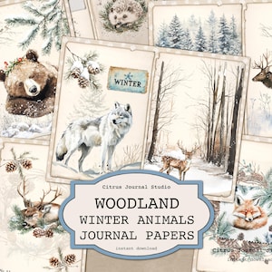 Diario spazzatura del bosco invernale, diario invernale, diario degli animali del bosco, diario spazzatura delle vacanze, diario spazzatura neutro, diario spazzatura della prima neve