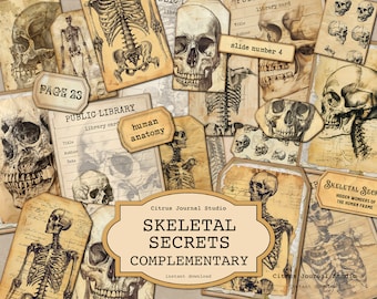 Halloween Tags, Skull Tags, Vintage Anatomy Tags, Halloween Ephemera, Junk Journaling, Vintage Halloween, Vintage Skull, Loaded Pocket Tags