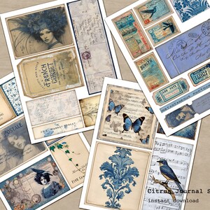 May include: A digital collage sheet with vintage images and text in blue and white tones. The images include a woman in a feathered hat, butterflies, birds, and floral patterns. The text includes "French Corset", "Carte Postale", "Wild Rose", and "Instantaneous Photographs".