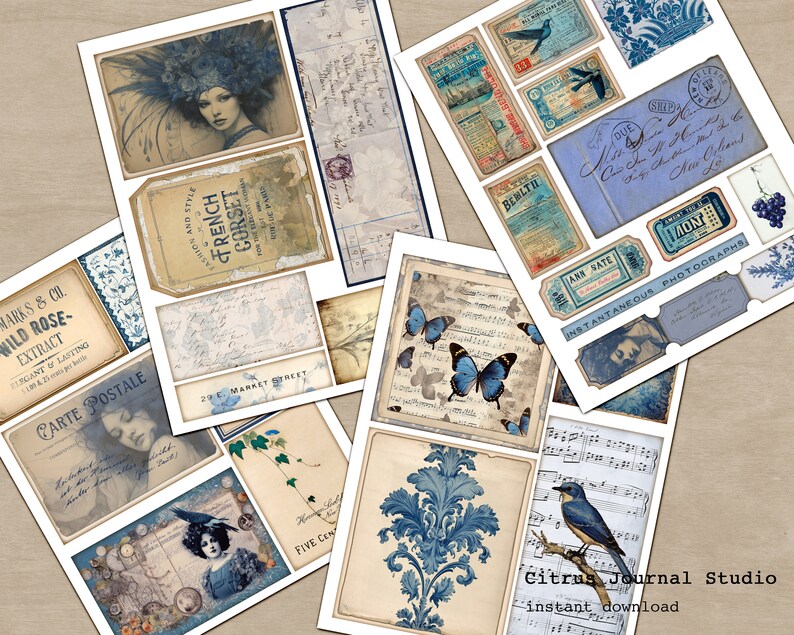 May include: A digital collage sheet with vintage images and text in blue and white tones. The images include a woman in a feathered hat, butterflies, birds, and floral patterns. The text includes "French Corset", "Carte Postale", "Wild Rose", and "Instantaneous Photographs".