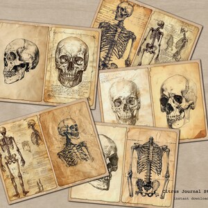 May include: Vintage style illustrations of human skeletons and skulls. The images are in black and white and have a distressed, aged look. The images are perfect for scrapbooking, card making, or other craft projects.