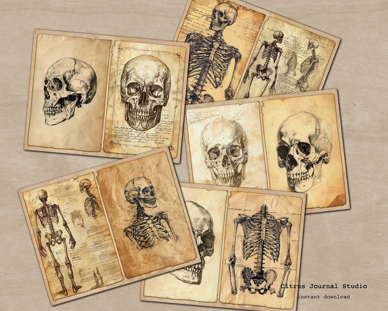 May include: Vintage style illustrations of human skeletons and skulls. The images are in black and white and have a distressed, aged look. The images are perfect for scrapbooking, card making, or other craft projects.
