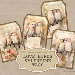 Tag uccelli innamorati, pappagalli, tag di San Valentino, tag shabby chic, diario spazzatura, tag vintage, tag floreali fard, tag digitali, effimeri francesi