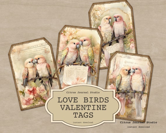 Love Birds Tags, Parrots, Valentines Day Tags, Shabby Chic Tags, Junk Journal, Vintage Tag, Blush Floral Tags, Digital Tags, French Ephemera