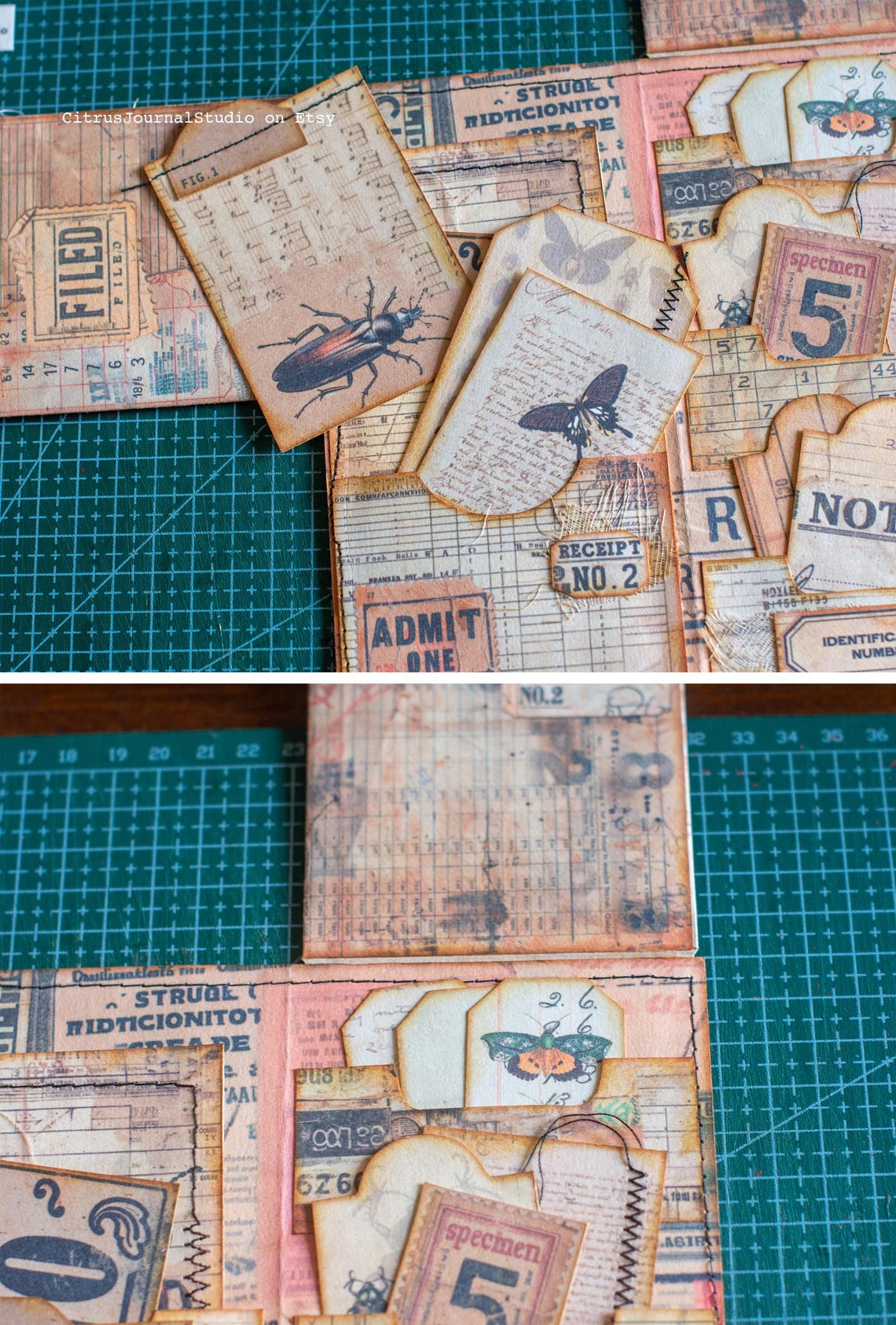 Entomology Journal Page Insert, Specimen Labels, Entomology Pocket ...