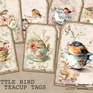 Étiquettes de journal indésirable, éphémères vintage, oiseaux, shabby chic, tasse de thé, floral, roses, étiquettes numériques, éphémères imprimables, étiquette de printemps, oiseau dans une tasse de thé