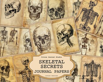 Halloween Skull Junk Journal, Vintage Journal, Vintage Anatomy, Spooky Skeleton, Junk Journaling, Vintage Halloween, Vintage Skull Digital