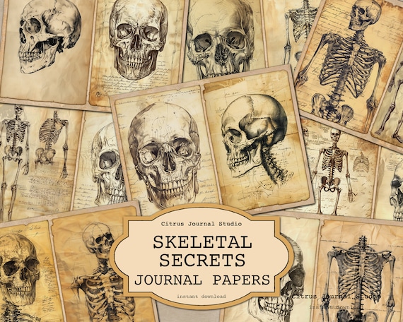 Halloween Skull Junk Journal, Vintage Journal, Vintage Anatomy, Spooky Skeleton, Junk Journaling, Vintage Halloween, Vintage Skull Digital